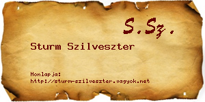 Sturm Szilveszter névjegykártya